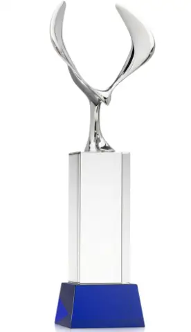 NFDA Pursuit of Excellence Award