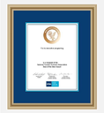 NFDA Framed Certificate Hall of Excellence (Gold)